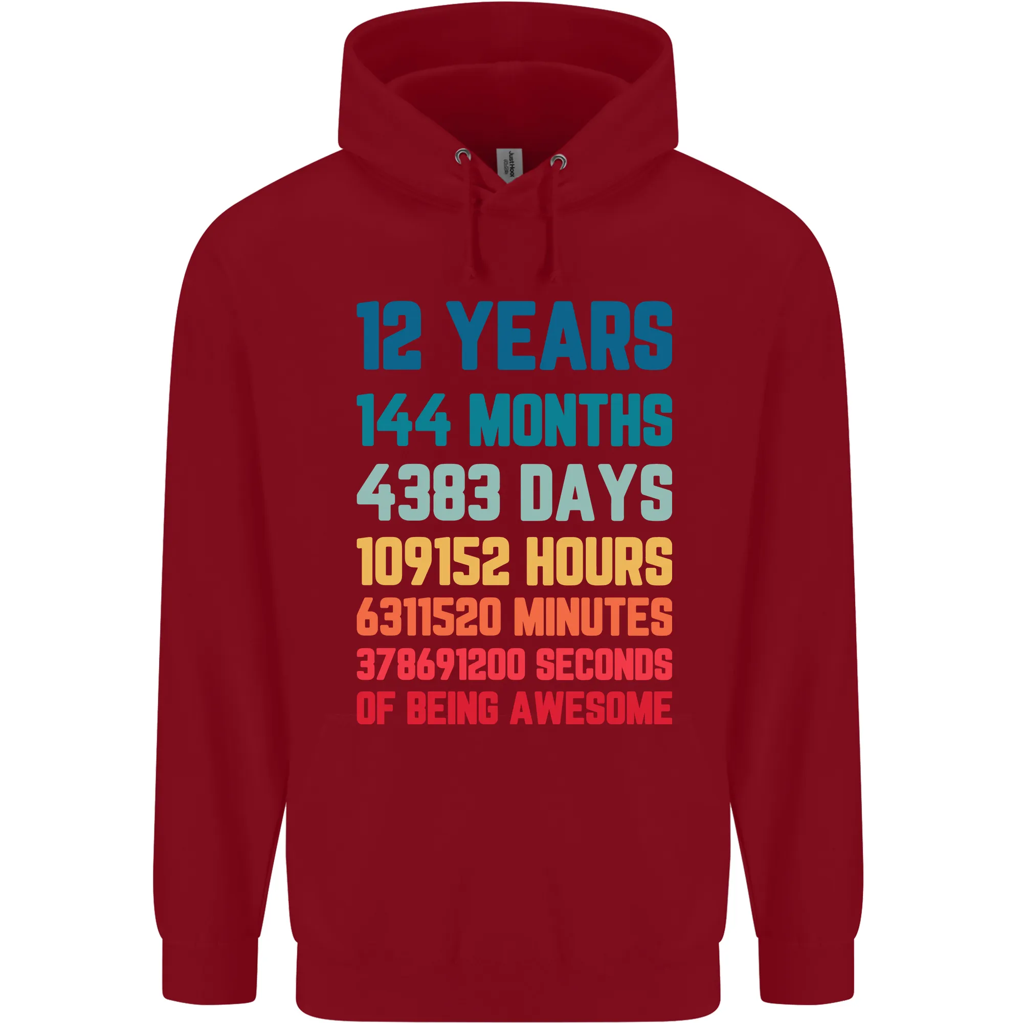 12th Birthday 12 Year Old Childrens Kids Hoodie