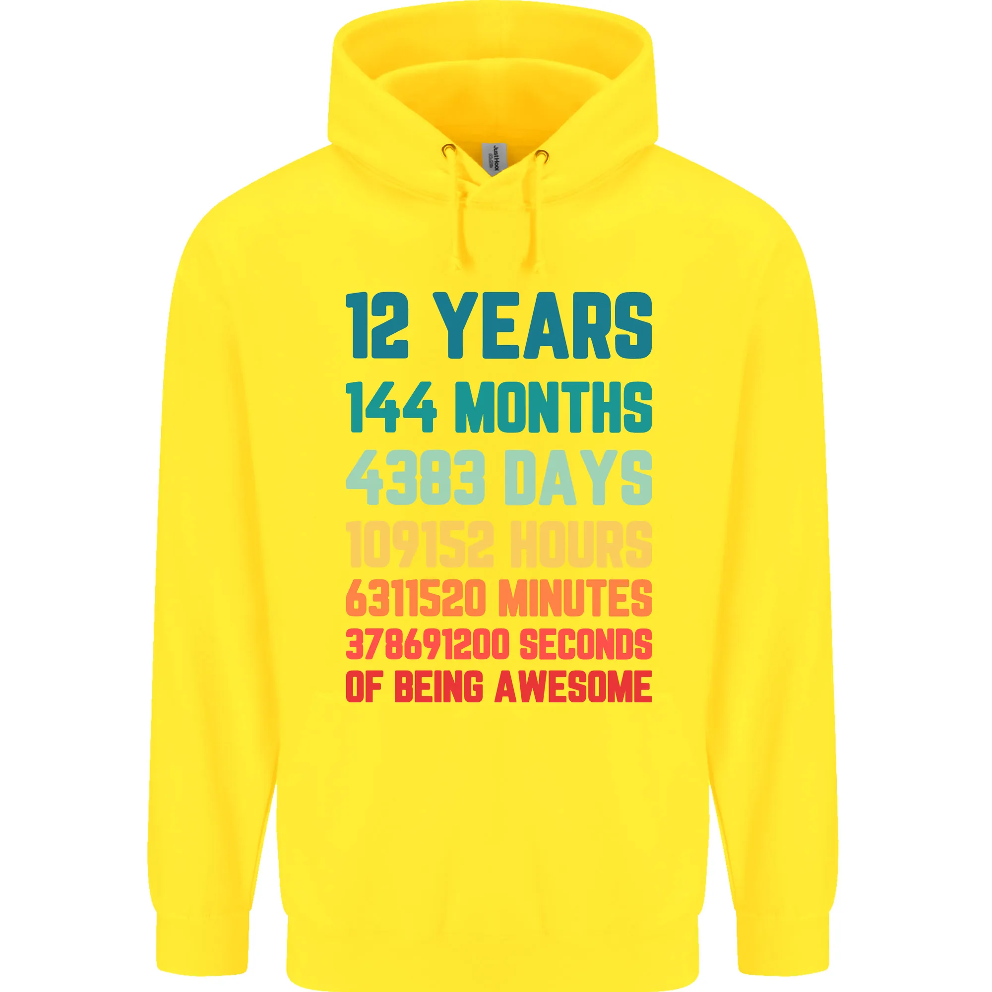 12th Birthday 12 Year Old Childrens Kids Hoodie