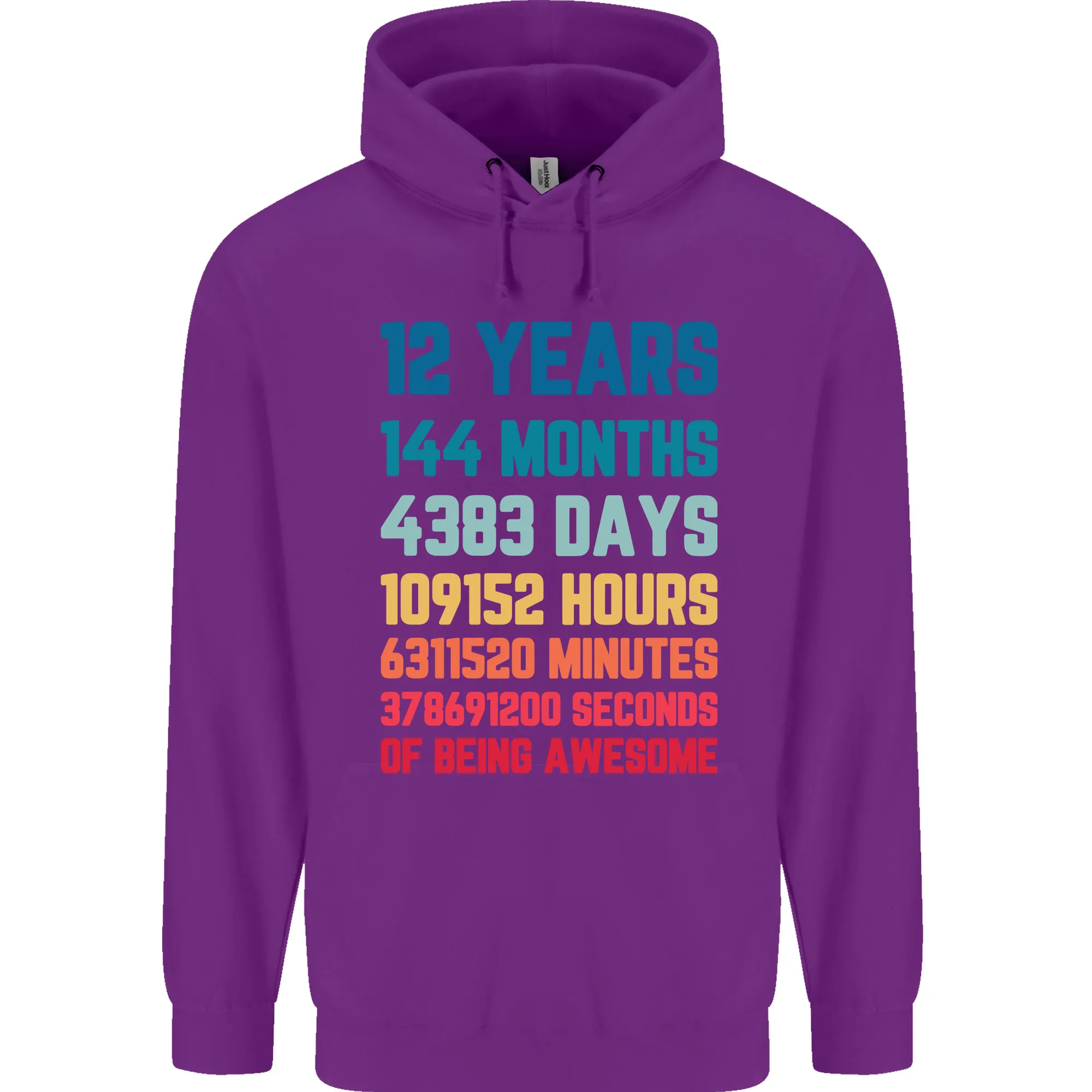 12th Birthday 12 Year Old Childrens Kids Hoodie