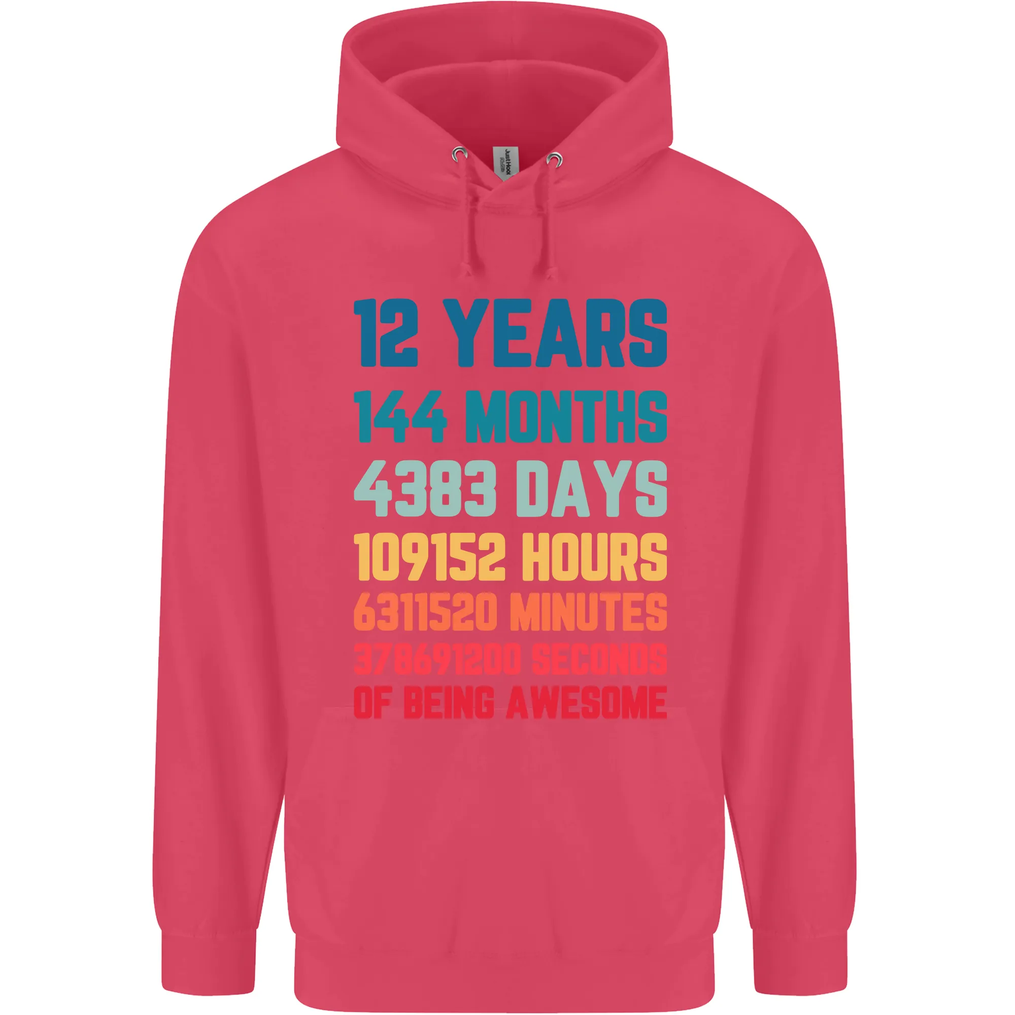 12th Birthday 12 Year Old Childrens Kids Hoodie