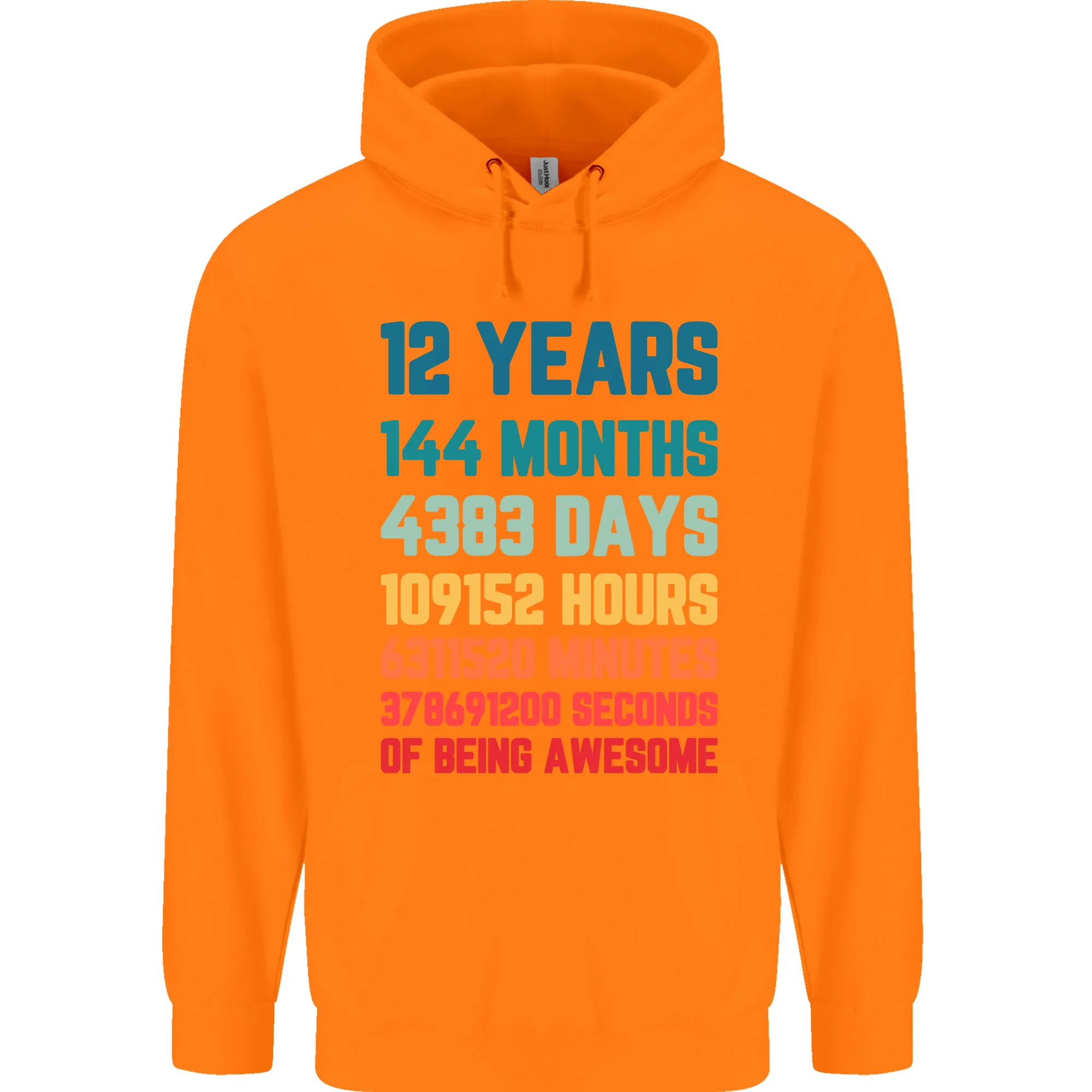 12th Birthday 12 Year Old Childrens Kids Hoodie