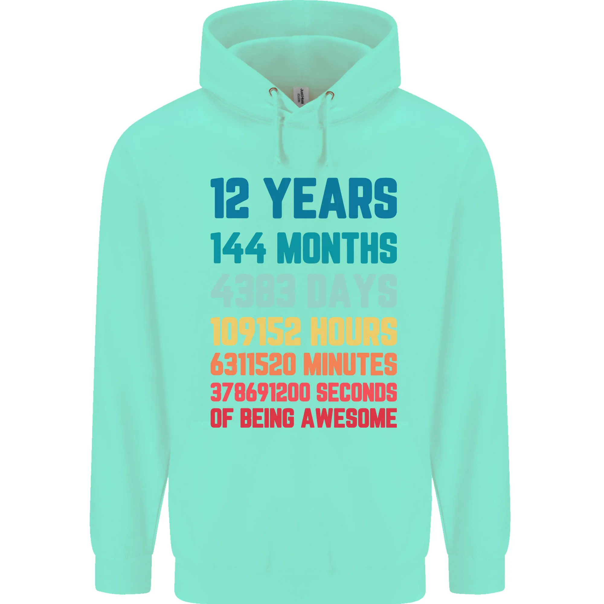 12th Birthday 12 Year Old Childrens Kids Hoodie