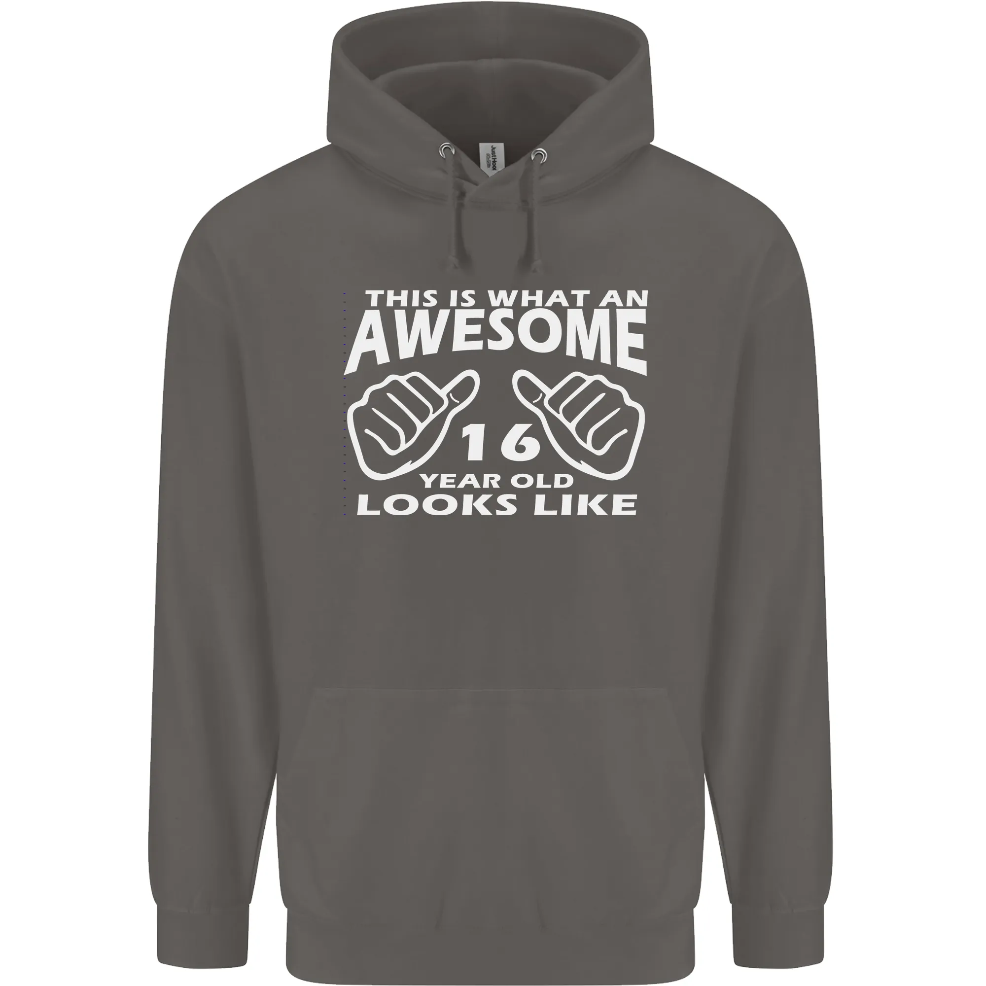 16th Birthday 16 Year Old This Is What Mens 80% Cotton Hoodie