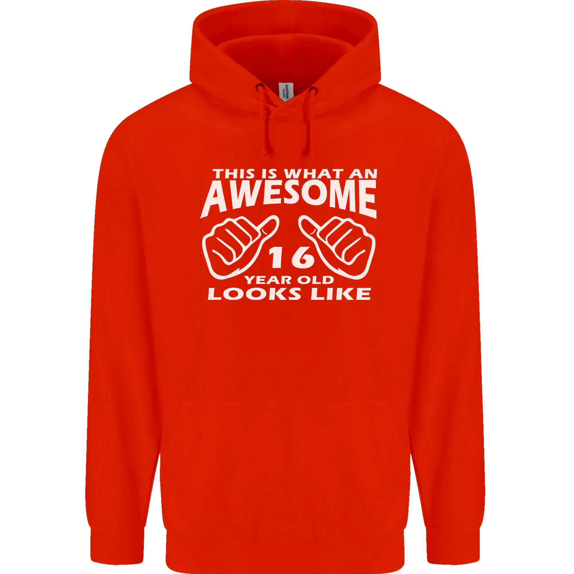 16th Birthday 16 Year Old This Is What Mens 80% Cotton Hoodie