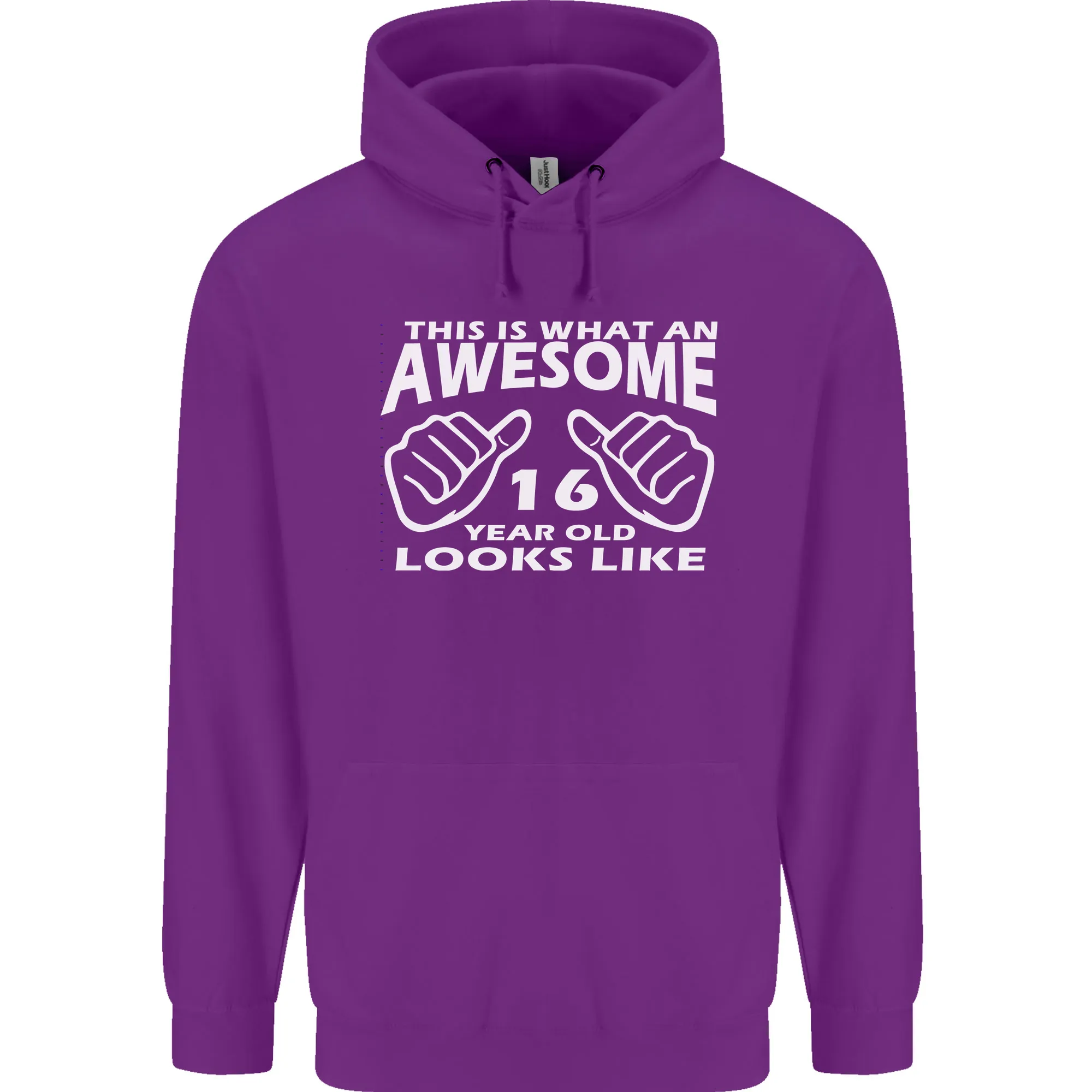 16th Birthday 16 Year Old This Is What Mens 80% Cotton Hoodie