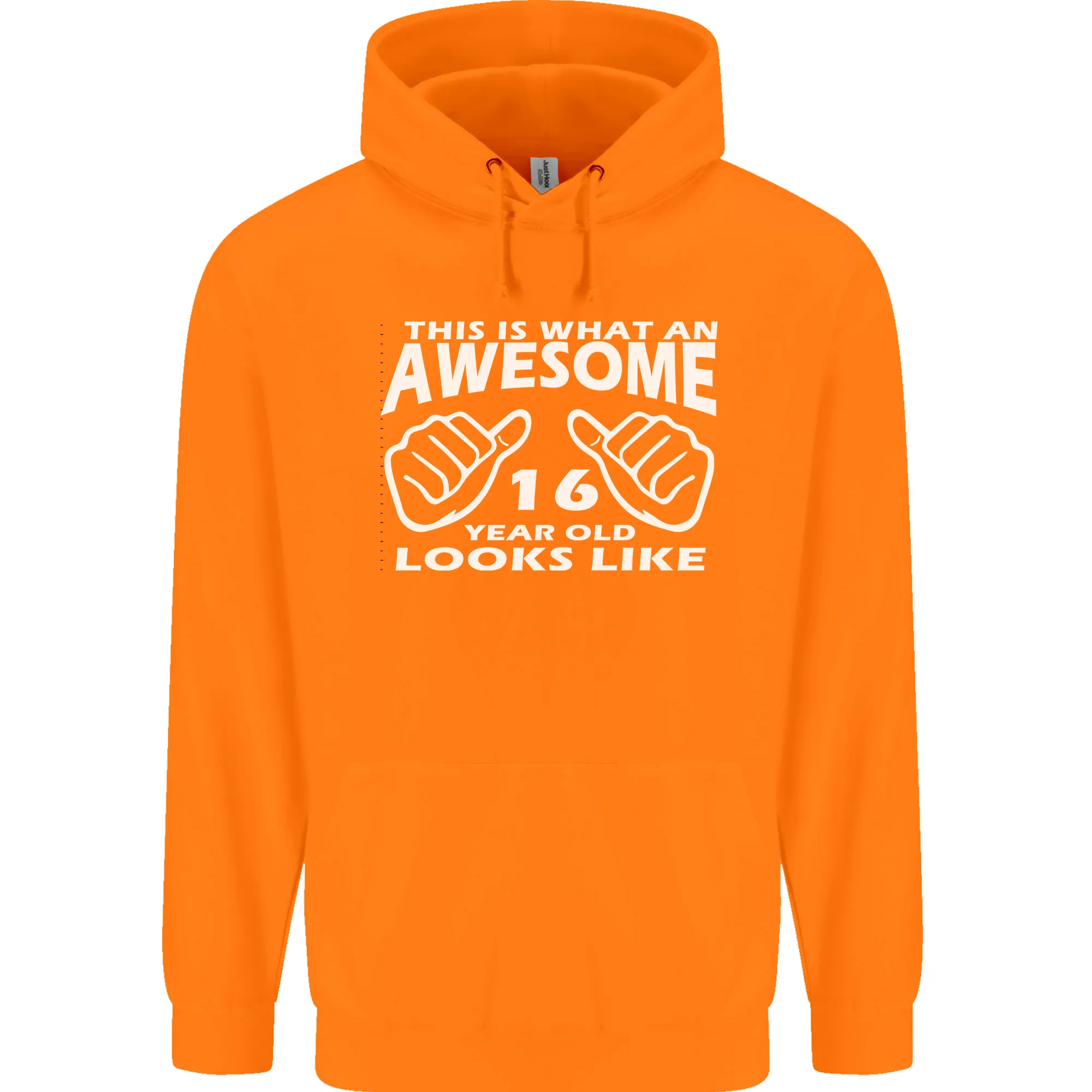 16th Birthday 16 Year Old This Is What Mens 80% Cotton Hoodie