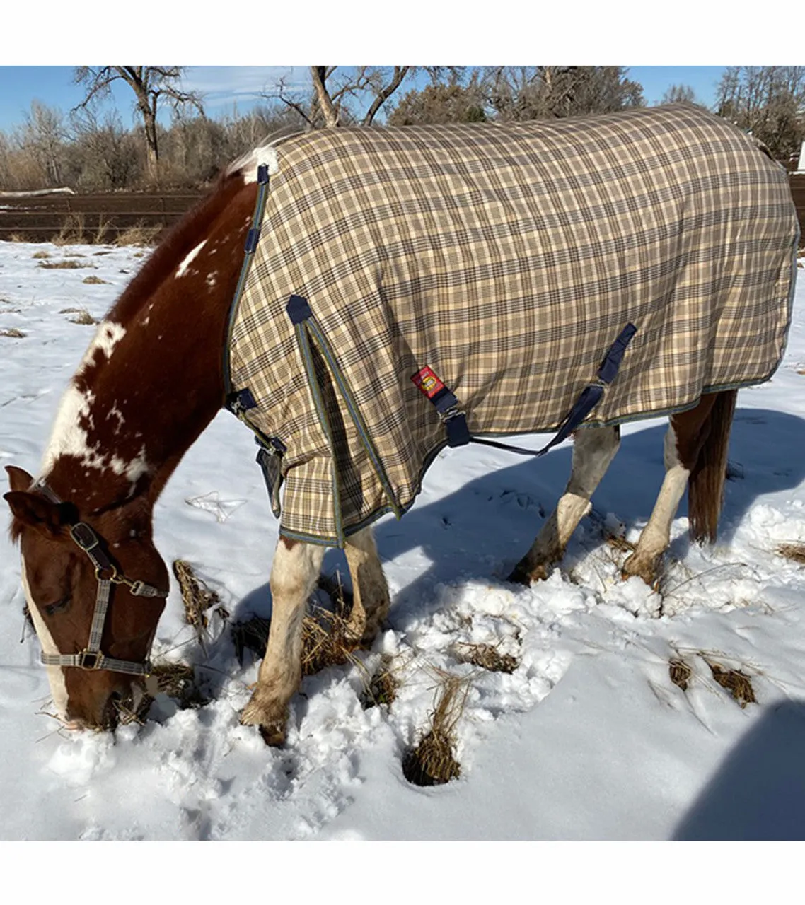 5/A Baker® Medium Weight Turnout Blanket 200 Gram