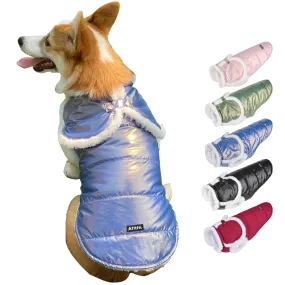 Aiitle Waterproof Cozy Dog Winter Coat Blue