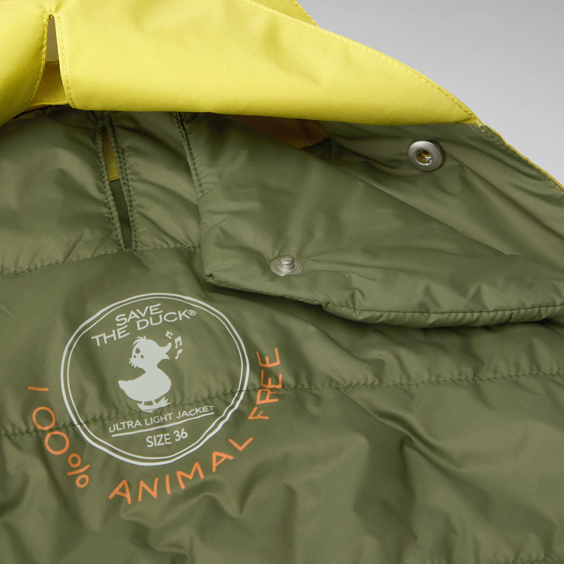 Dog Rex Coat in Citronella Green