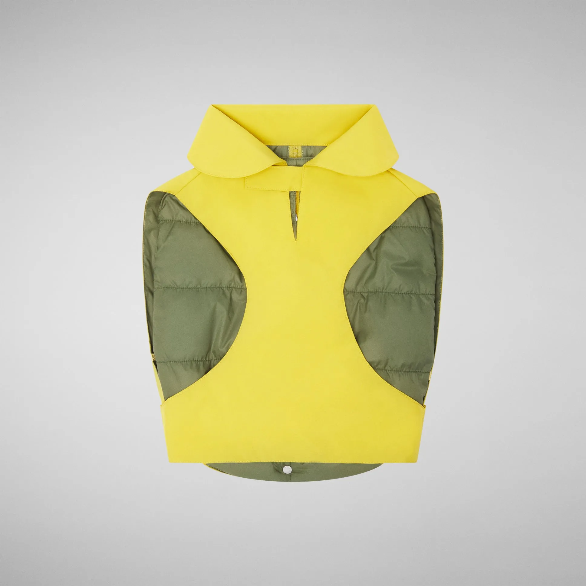 Dog Rex Coat in Citronella Green