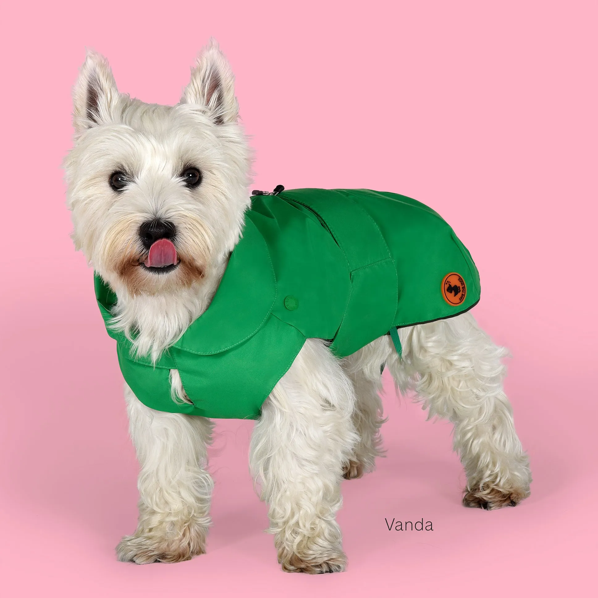 Dog Rex Coat in Flag Green