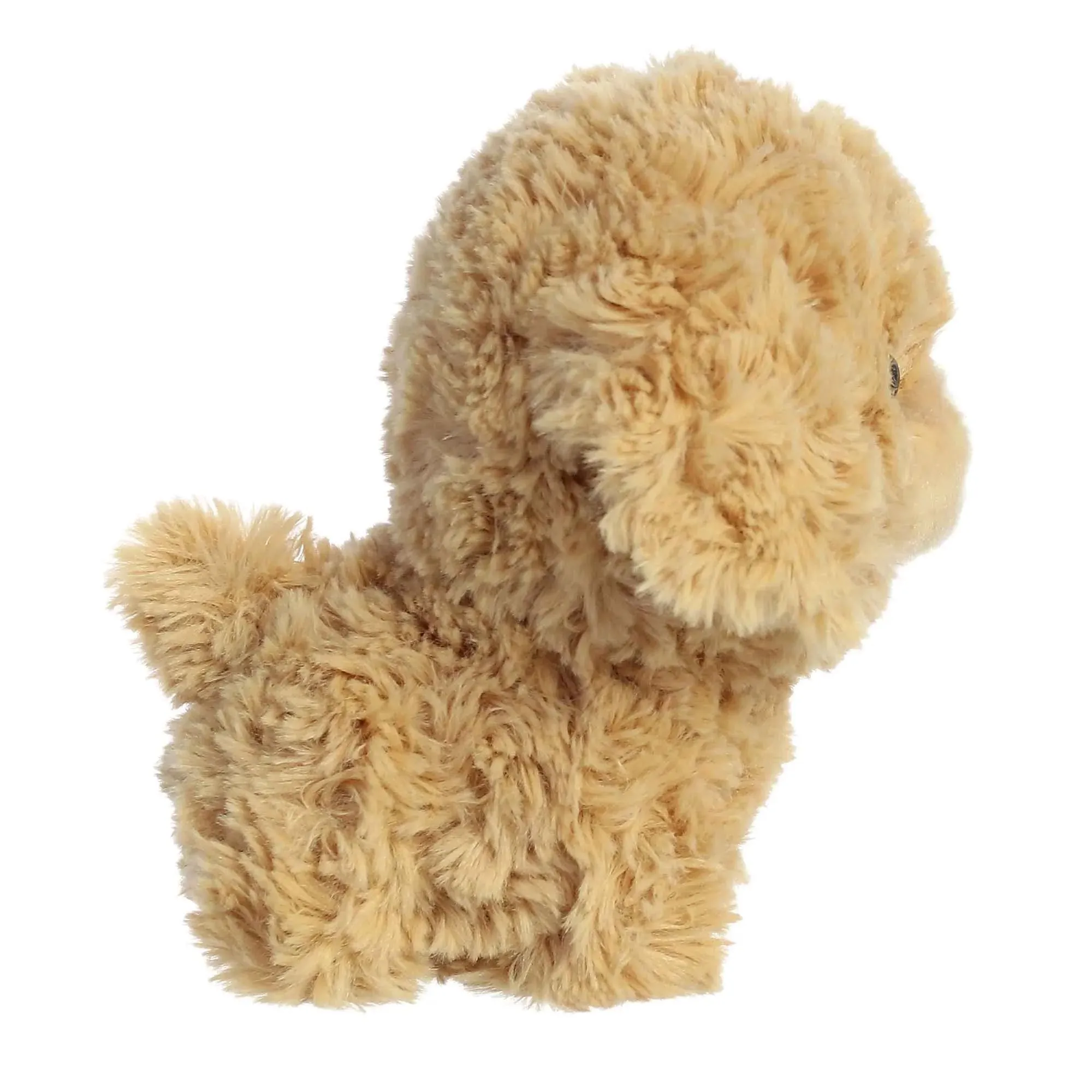 Goldendoodle Teddy Pet