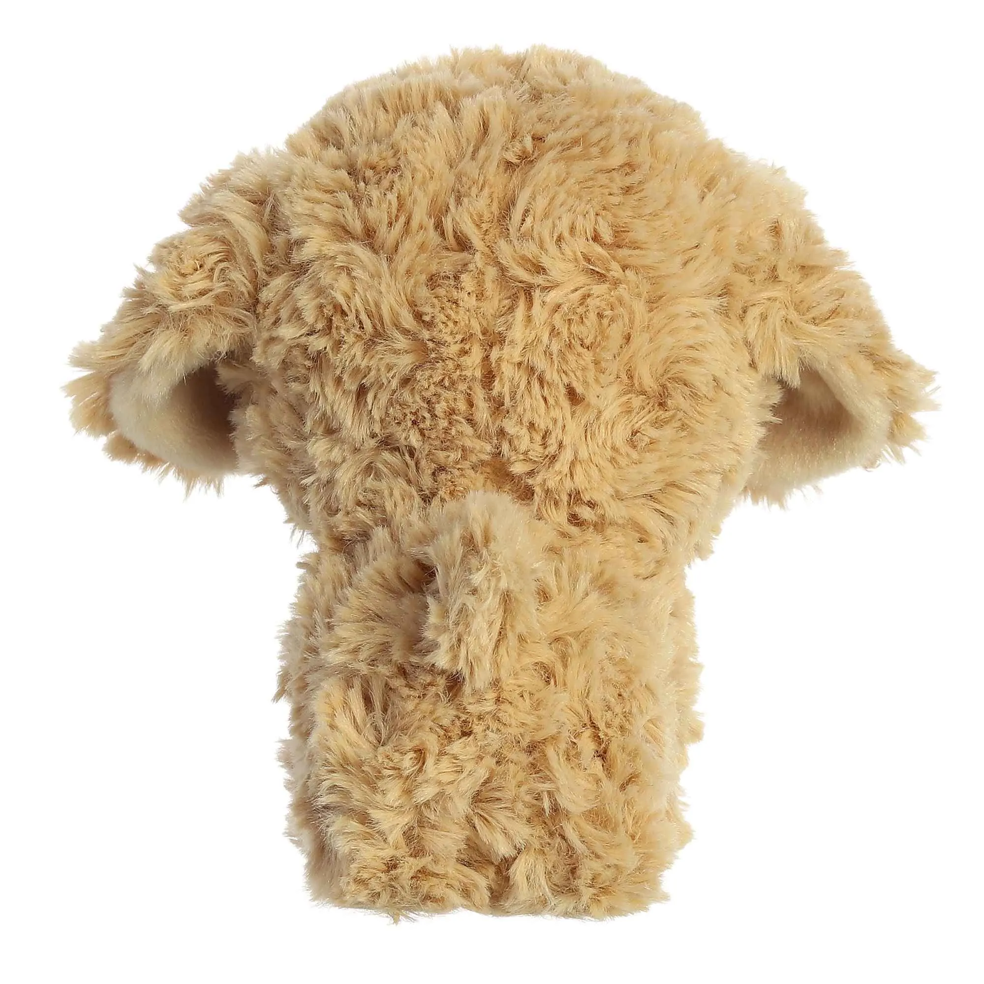 Goldendoodle Teddy Pet