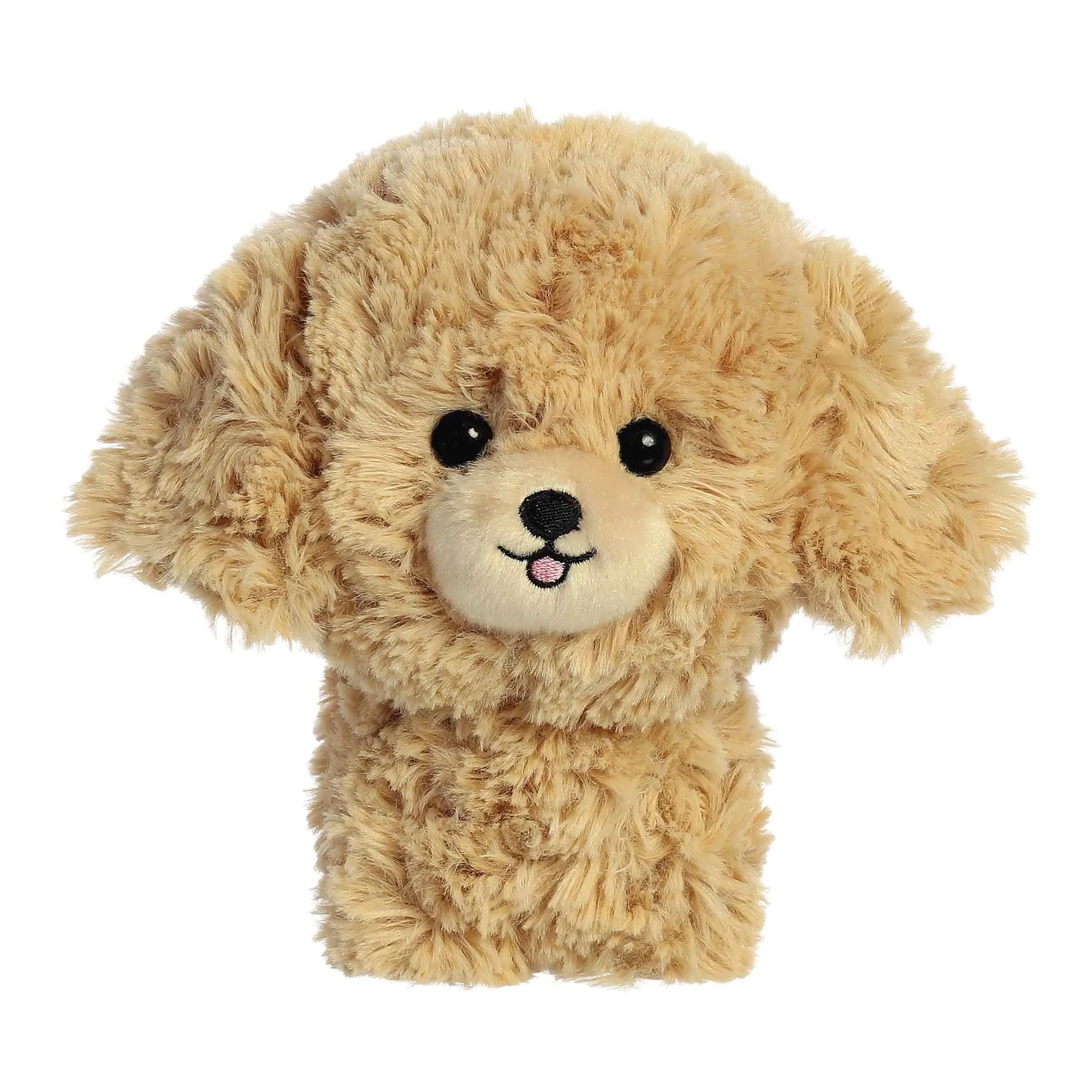 Goldendoodle Teddy Pet