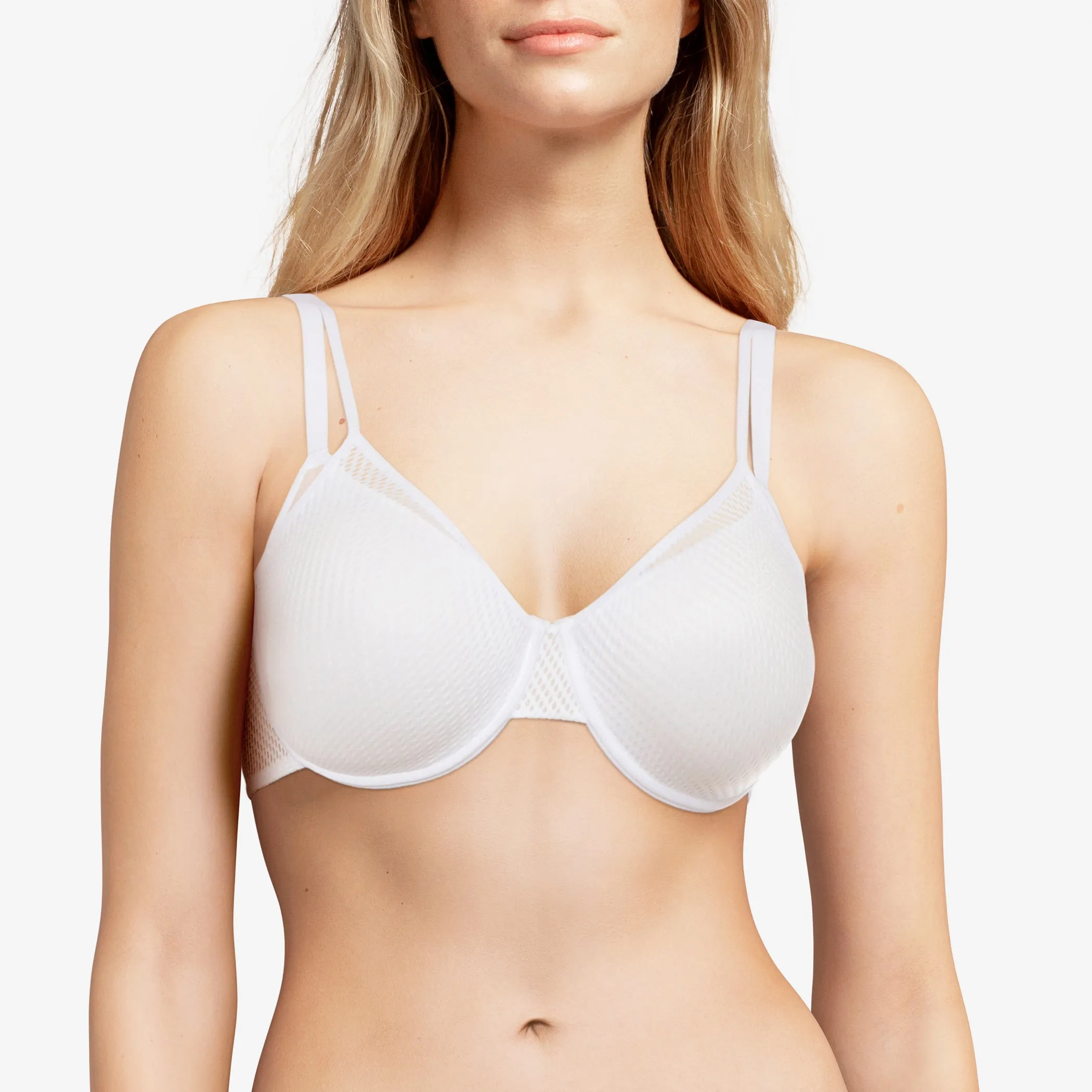 Passionata - Teddy - T-Shirt Bra - Sale