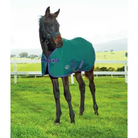 WeatherBeeta 1200D Foal Standard Neck Turnout Medium II